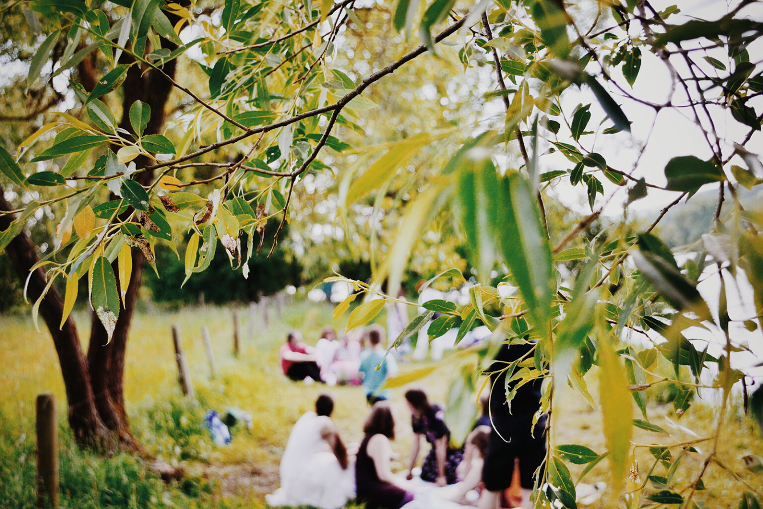 picknick